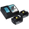 Makita DJS 161 RGJ Cisailles Sans Fil 18 V 1,6 Mm + 2x Batteries 6,0 Ah + Chargeur + Coffret Makpac