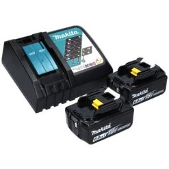 Makita DJS 161 RGJ Cisailles Sans Fil 18 V 1,6 Mm + 2x Batteries 6,0 Ah + Chargeur + Coffret Makpac